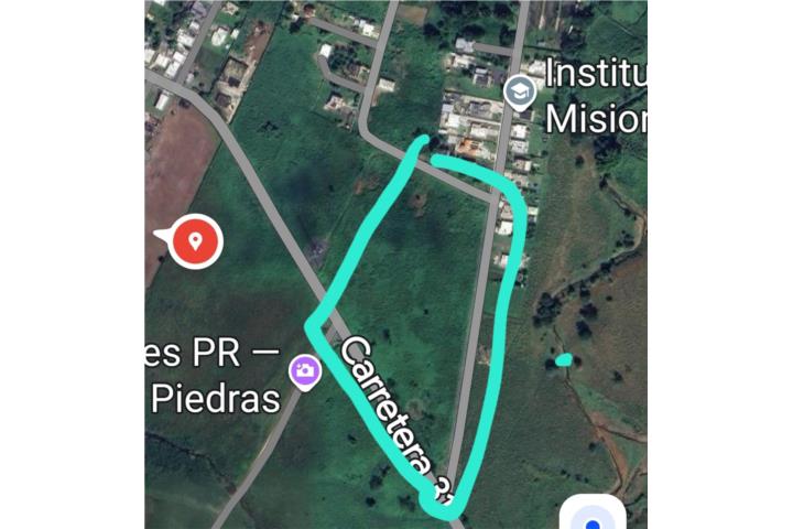 Lijas Puerto Rico Naguabo