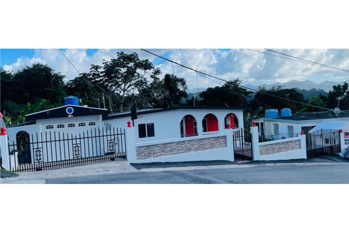 Pesas Puerto Rico Ciales