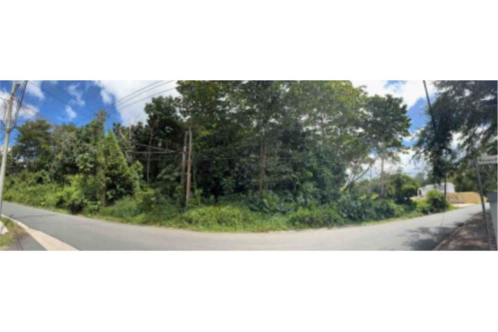 Caimito San Juan - Río Piedras