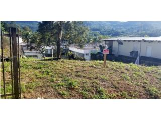 TERRENO AREA CENTRICA PUEBLO ADJUNTAS