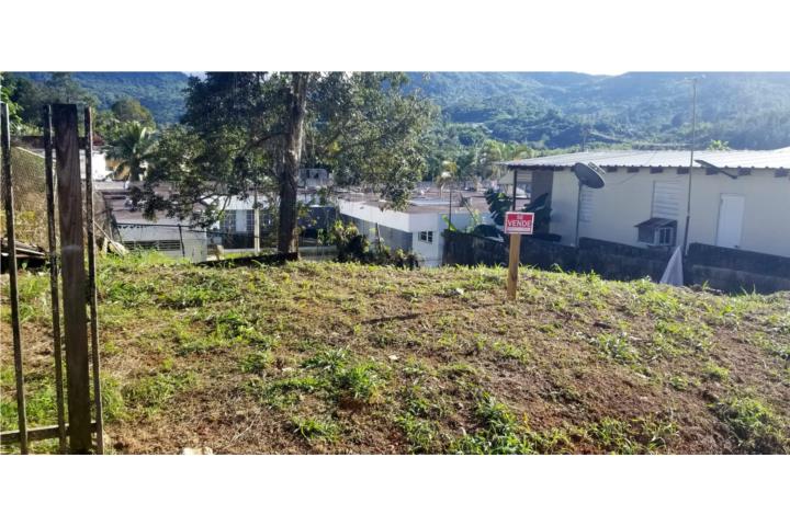 Pueblo Puerto Rico Adjuntas