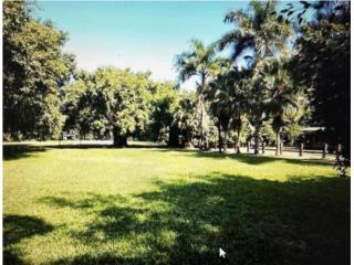 Hermosa Finca en Sector Cubitas, Guaynabo