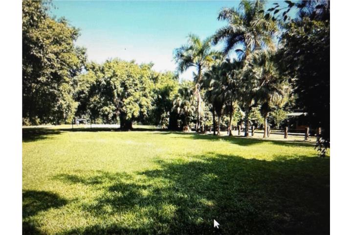 Frailes Puerto Rico Guaynabo