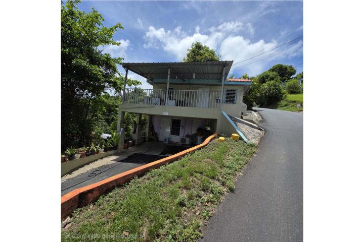 Sud Puerto Rico Cidra