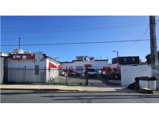 Galeria