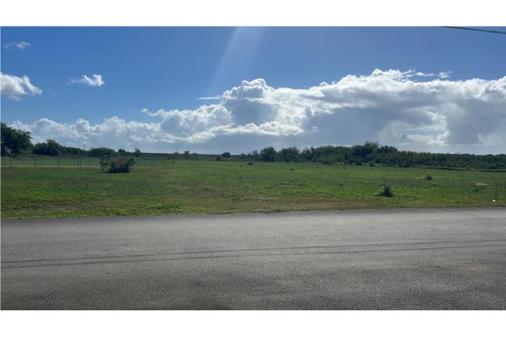 Godreau Puerto Rico Salinas