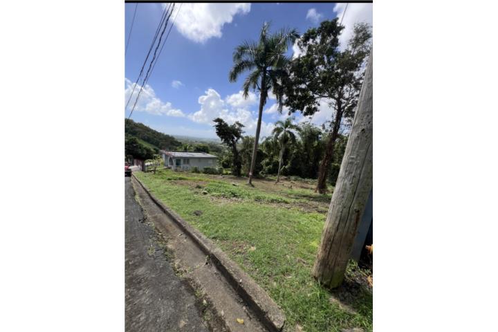 Exclusiva Oportunidad de Inversión! (Cash Sale) Solar en venta – Mariana, Naguabo 💲? $60,000 📐?? 1,045.