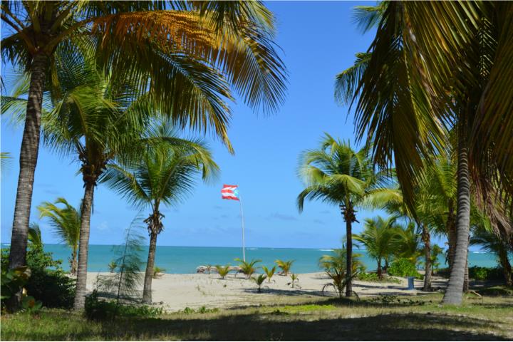 Discover your dream penthouse, very private with access control and security; with 3 private parking