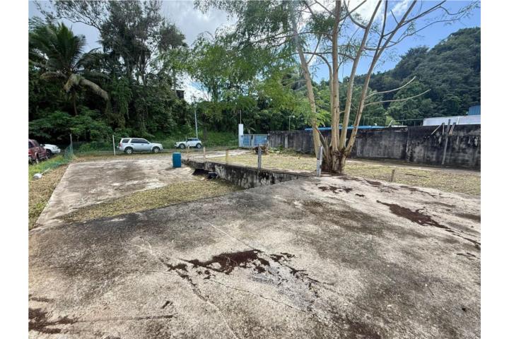 Candelaria Puerto Rico Toa Baja