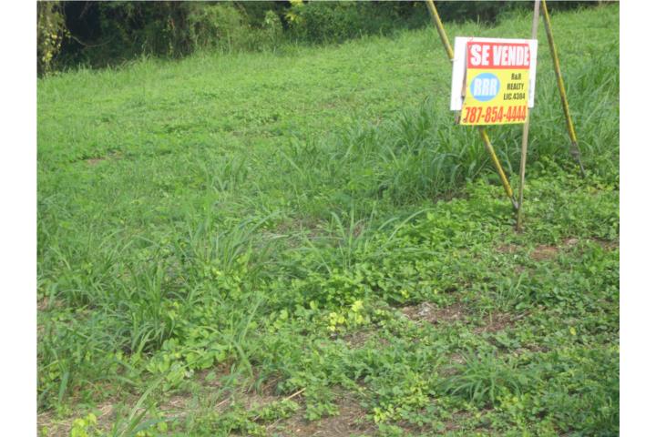 Estancias De Arecibo