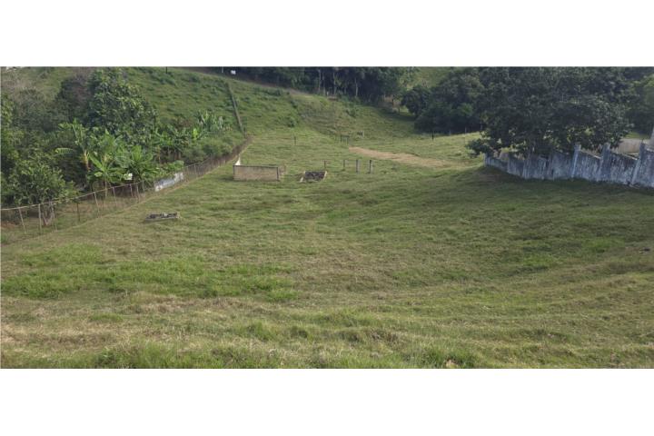 Puntas Puerto Rico Rincón