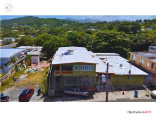 Propiedad comercial de uso mixto
