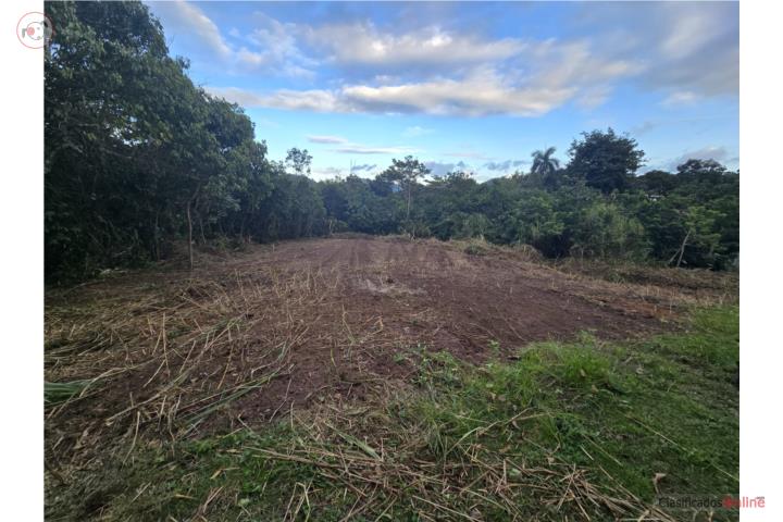 Finca 1.5 cuerdas