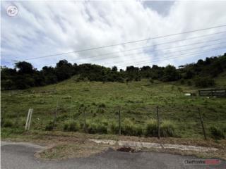 FINCA 14.1288 CUERDAS | 40 LOTES + RE...