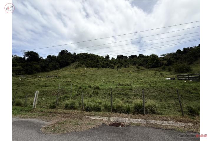 FINCA 14.1288 CUERDAS | 40 LOTES + REMANENTE