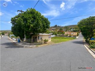 CULEBRA- 1/4 cuerda -Gran Terreno