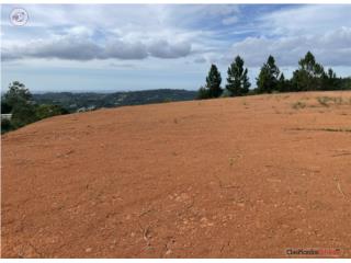5-CUERDA HILLTOP LOT | PANORAMIC VIEW...