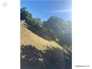 Cabo Rojo, PR 00623