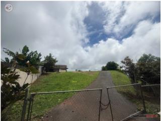 Coamo sector la loma