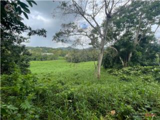 FINCA 18.53 CDAS EN SUELO URBANO