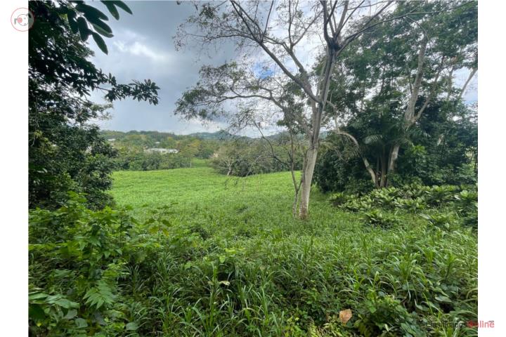 FINCA 18.53 CDAS EN SUELO URBANO