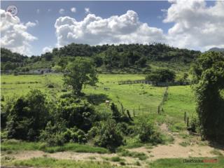 PR REAL ESTATE LISTINGS - A Smart Mov...