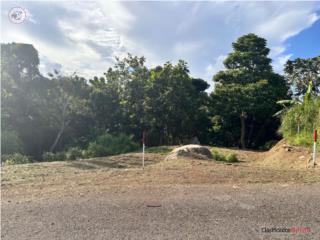Pueblo de Las Piedras/Barrio Asomante