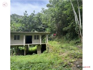 FINCA 19 CUERDAS