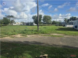 Solares a la venta,bo.cienaga,sector ...
