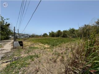 Lote Residencial 1,128 m2, Bo. Santana