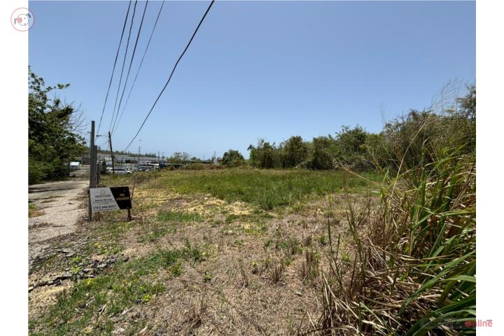Lote Residencial 1,128 m2, Bo. Santana