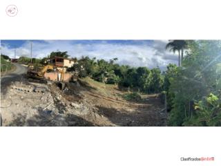 Venta/Sale: Cidra, Rabanal: Solar/Lot...