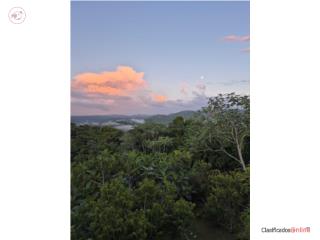 Finca en Las Marias