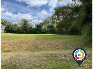 Excellent Investment Opportunity in C...
