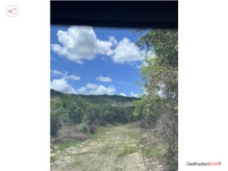 Finca