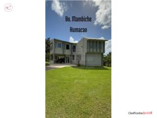 Bo. Mambiche Blanco