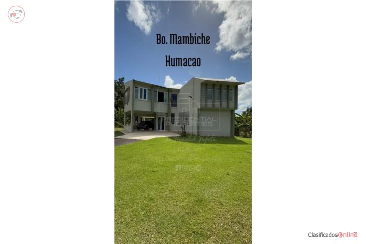 Bo. Mambiche Blanco