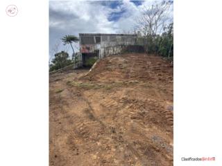 Finca en Corozal 26 cuerdas - casa co...