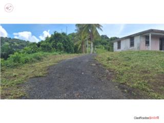 FINCA 67 CUERDAS