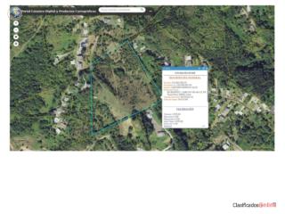 FINCA 11.34 CUERDAS BO. BEATRIZ, CIDRA