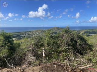 Ocean view approx 6 cuerdas