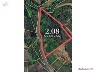 BARRIO CRUCES SE VENDE FINCA 2 CUERDA...