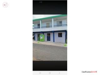Casa y negocio en venta