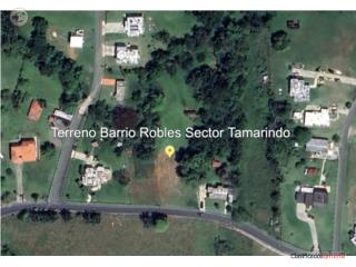 Oportunidad de Terreno en San Sebasti...