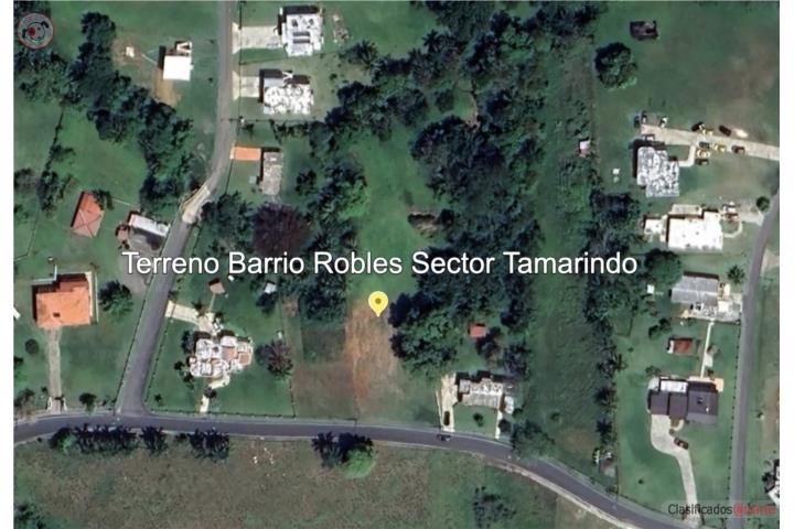 Oportunidad de Terreno en San Sebastián, PR