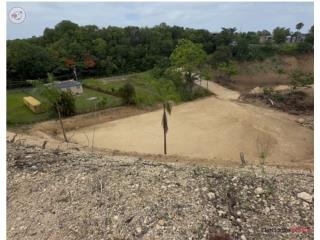 6 Solares Segregados en Bo. Asomante,...