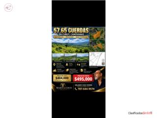 Venta de Finca