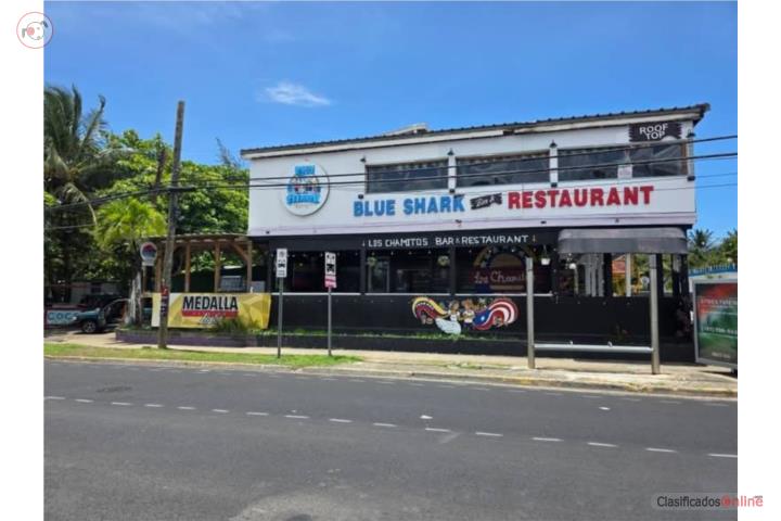 calle Loiza Blue Shark Coco Verde Restaurante
