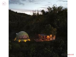 Cayey 29 cuerdas a 2 minutos de autop...