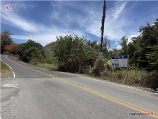 17 cuerdas en Sabana Grande / Yauco A...